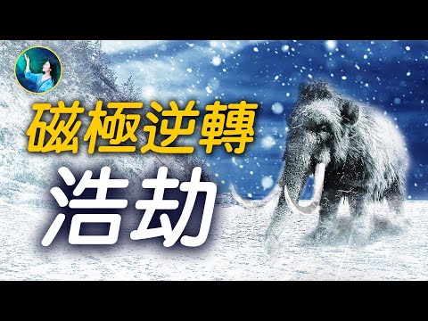 4万2千年前，磁极翻转导致“防护罩”消失，太阳耀斑、宇宙射线扑向地球⋯1万多年前猛犸，瞬间冰冻，未变成化石！岩浆、烈火染红天空⋯