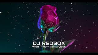 Yıldız Tilbe - Yalnız Çiçek (DJ REDBOX Remix) Resimi