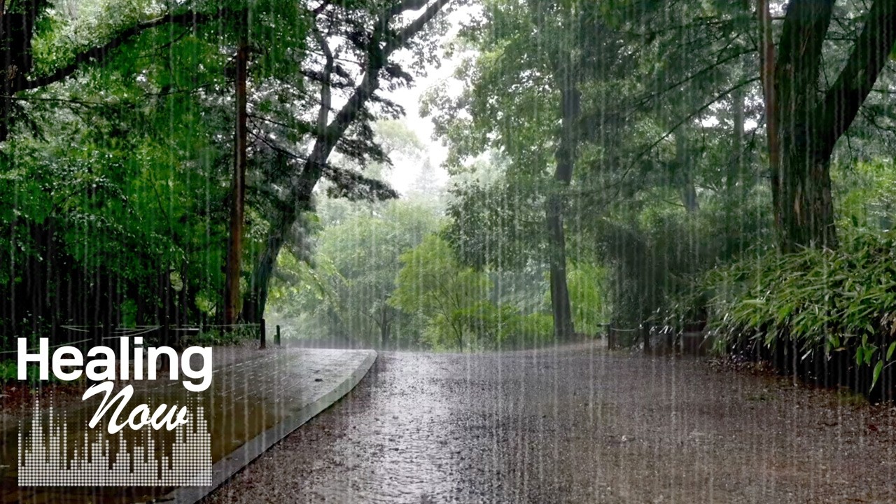 Насладитесь 10 часами звуков дождя без рекламы—белый шум для сна, расслабления, борьбы с бессонницей