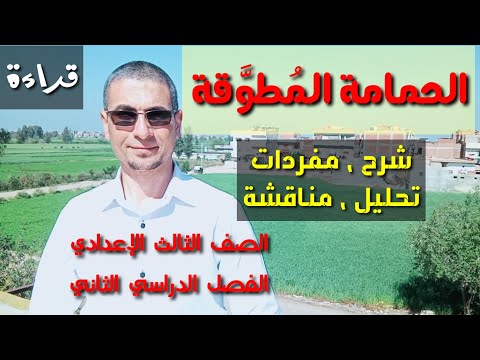 درس الحمامة المطوقة شرح ومفردات  الصف الثالث الإعدادي الفصل الدراسي الثاني