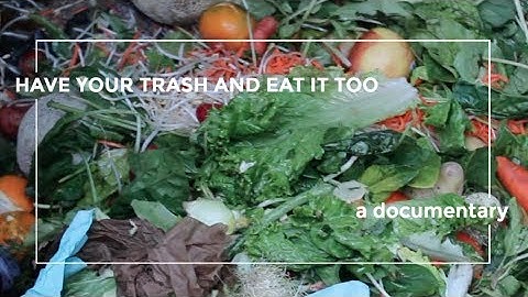 Have Your Trash and Eat It Too: A Documentary on Dumpster Diving