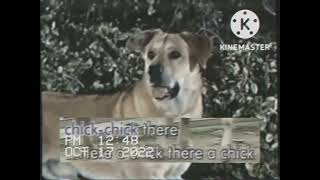 Old Macdonald Had A Farm - Nursery Rhyme Karaoke Avseq14.Dat