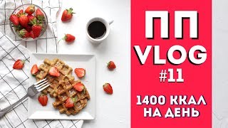 :  VLOG #11 1400     Olya Pins