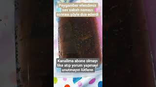 Peygamber Efendimiz Sav Sabah Namazı Sonrası Şöyle Dua Ederdi
