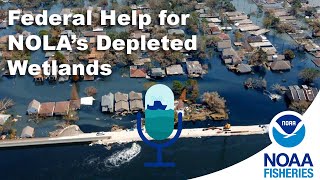 Restoring New Orleans Wetlands After Hurricane Katrina