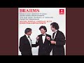 Miniature de la vidéo de la chanson Sonata For Clarinet And Piano No. 1 In F Minor, Op. 120: Iv. Vivace