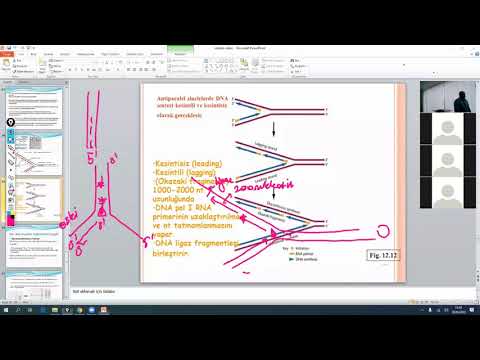 Video: DNA replikasyonu bilgi yarışmasında topoizomeraz enziminin işlevi nedir?