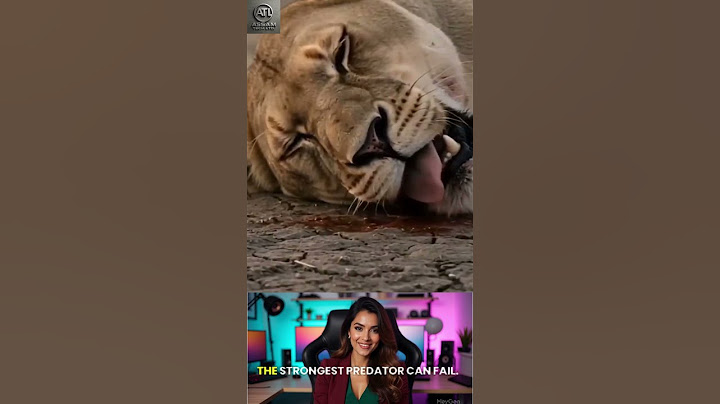 Intense Wild Hunt: Lioness vs Zebra | Life and Death Battle 🦁⚔️Assam Tech Ltd #shorts