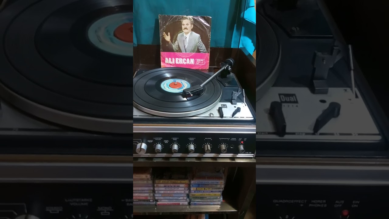 Bu gece rüyamda bir güzel gördüm.                   Ali Ercan