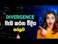 Divergence Trading Made Easy - Complete Guide | Crypto Trading Sinhala | Free Crypto Course