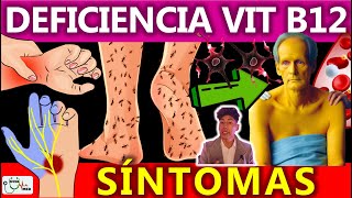 DEFICIENCIA DE VITAMINA B12 SÍNTOMAS | GuiaMed
