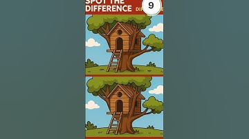 THE ULTIMATE CHALLENGE : SPOT THE HIDDEN DIFFERENCES
