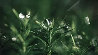 Moondust - James Malikey (Soft Version) Sleep, Study, Relax - 1 Hour