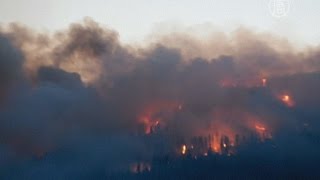 видео Более 13 000 человек за сутки. В пункте пропуска «Новая Гута» побит трехлетний рекорд по пропуску физлиц через границу