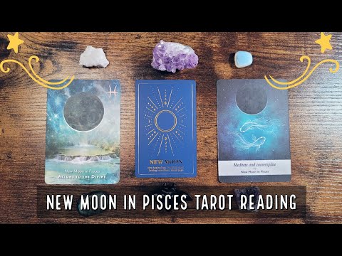 New Moon in Pisces 2023 | Tarot Reading - YouTube