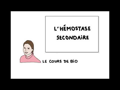 Vidéo: Nouvelles Considérations Sur Les Voies Impliquées Dans La Coagulopathie Traumatique Aiguë: Le Paradoxe De La Génération De Thrombine