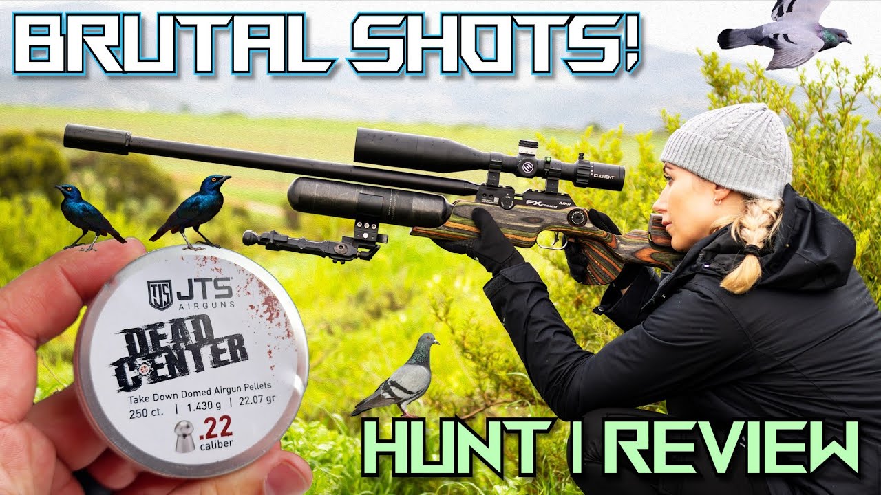 Airgun Hunting Pellets