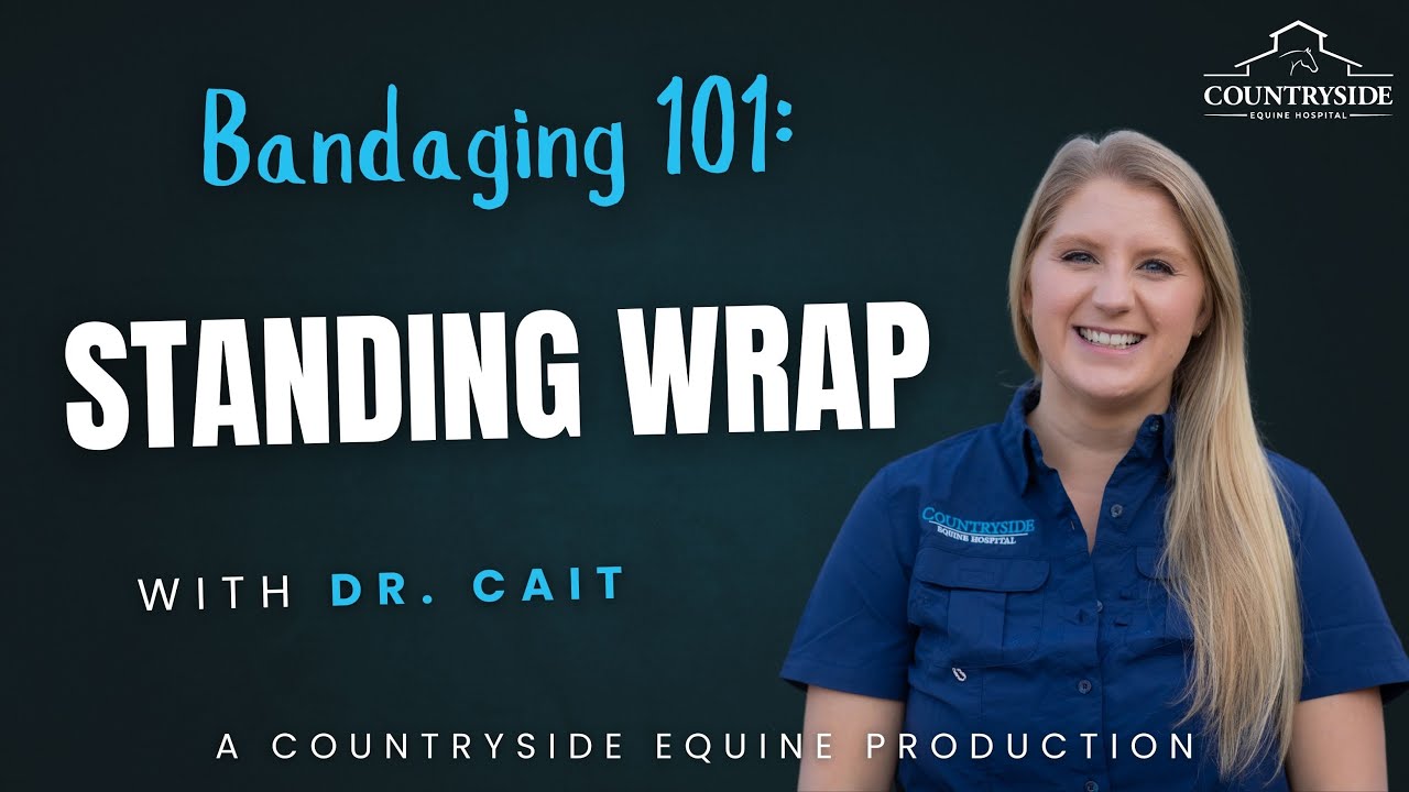 Bandaging 101: Equine Standing Wrap