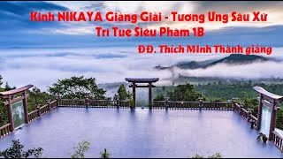 Kinh NIKAYA Giảng Giải - Tương Ưng Sáu Xứ- Trí Tuệ Siêu Phàm 1B