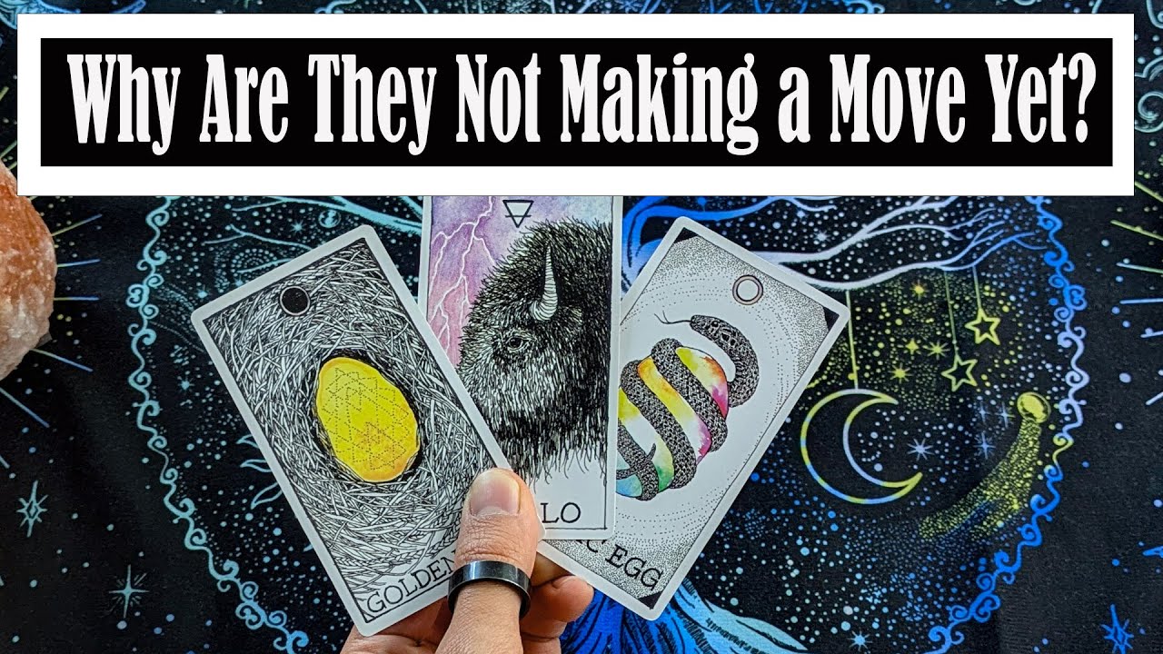 Why Aren't They Making a Move? ❤️ Pick a Card Timeless Tarot Reading