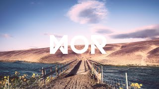 Arnyd - Dead End