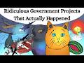 Ridiculous Government Projects That Actually Happened 