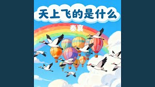 天上飞的是什么 (放空版)