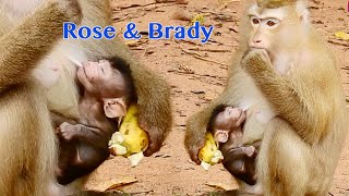 Awesome Foster Rose So Caring Feeding Plenty Milk To Exchange Baby Brady