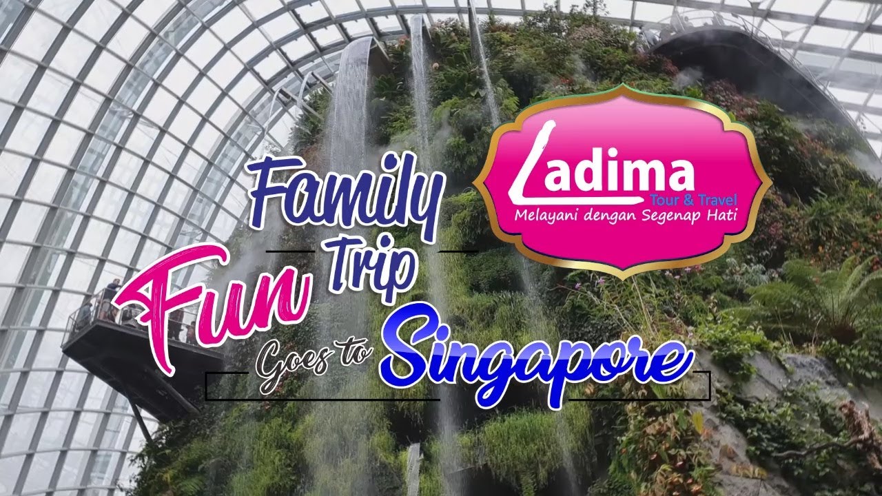 ladima tour and travel