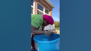 Harvesting worm castings :) #compost #composting #worms #vermicompost #wormbin #short #shorts