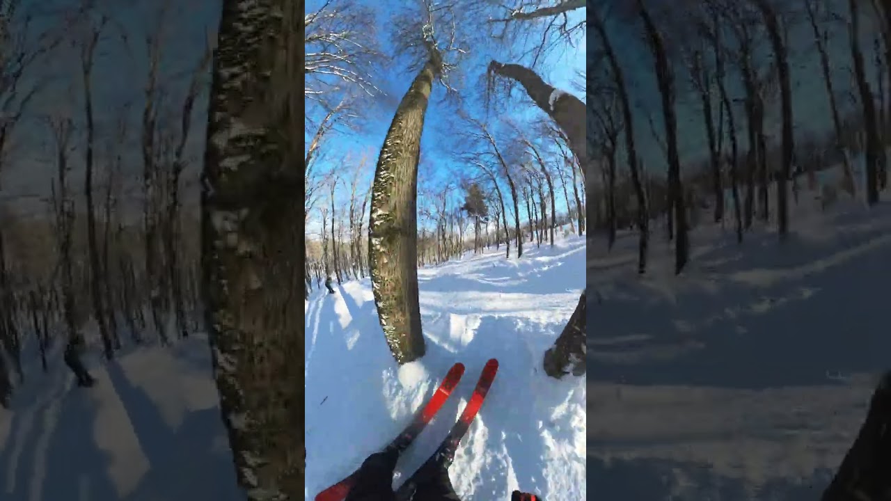 Carinthia glades at Mount Snow