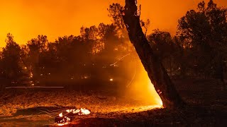 Famous PG&E faces manslaughter counts, family urges court transparency Profile