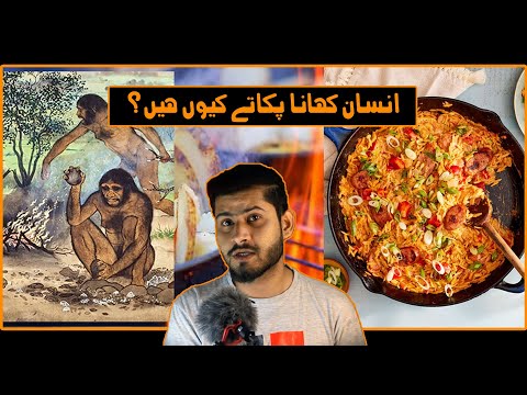 Why do Humans cook food ?