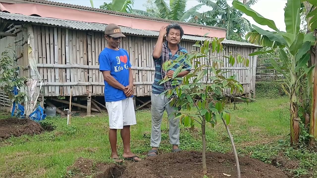 PASURUHAN JTM UMUR 3BLN