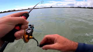 INFEET Rolling Crank | Daiwa