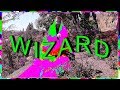 wizard