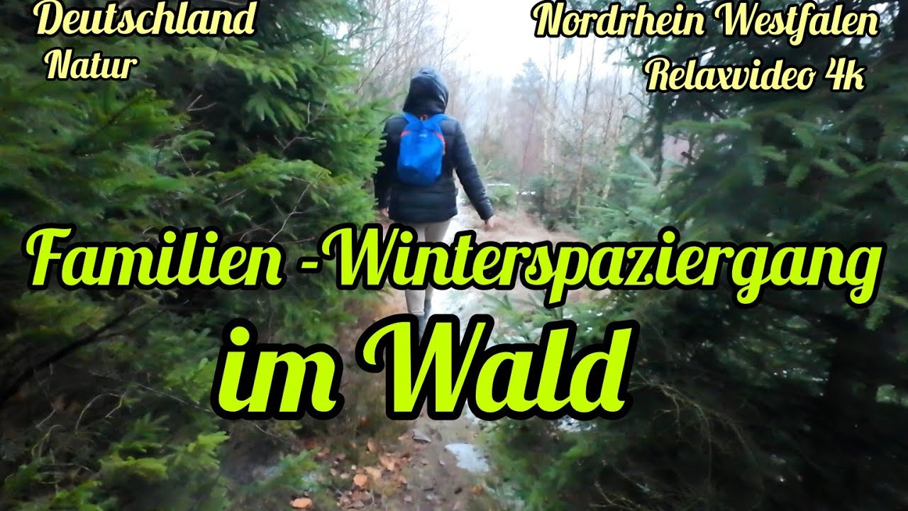 Ein Spaziergang durch den Winterwald.