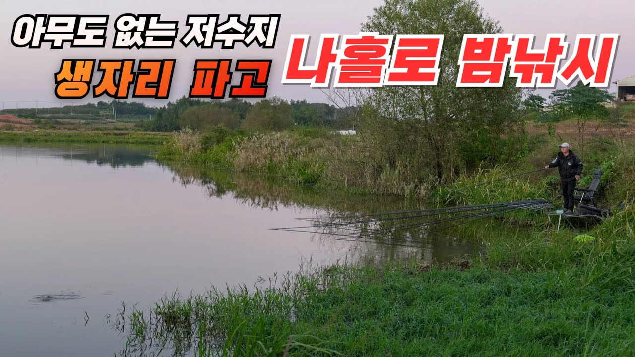 으스스~ 아무도 없는 저수지, 생자리 파고 나홀로 밤낚시