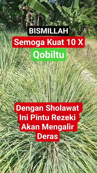 With This Sholawat, The Door of Sustenance Will Flow Fast Like Water Flowing Without Stopping