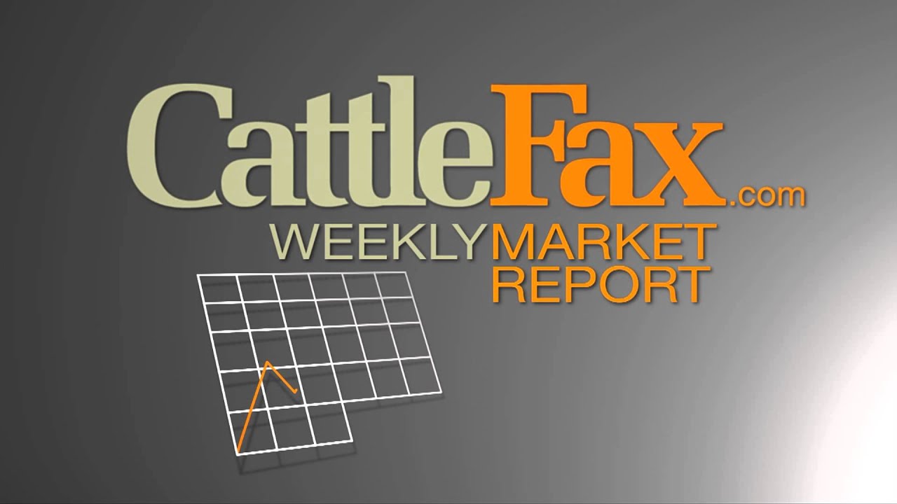 USDA Forecasts Record New Crop Corn Estimates