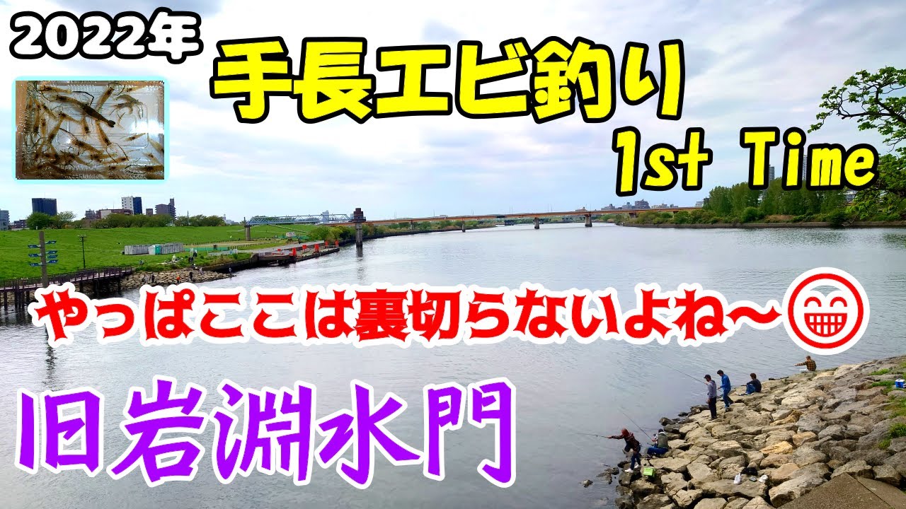 【荒川】2022 テナガエビ釣り 旧岩淵水門 赤羽 都会のオアシス 今季初物 手長エビ🦐 テナガエビ てながえび