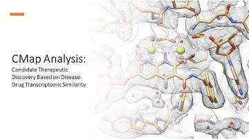 CMap Analysis - Candidate Therapeutic Discovery Based on Disease-Drug Transcriptomic Similarity