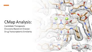 CMap Analysis - Candidate Therapeutic Discovery Based on Disease-Drug Transcriptomic Similarity