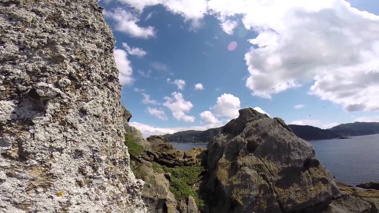 6 months on Raoul Island