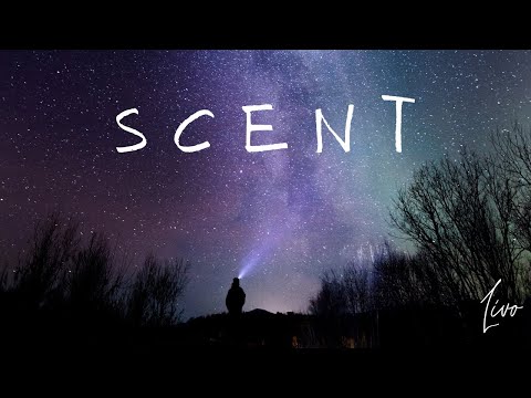 Livo - Scent (Extended Mix)