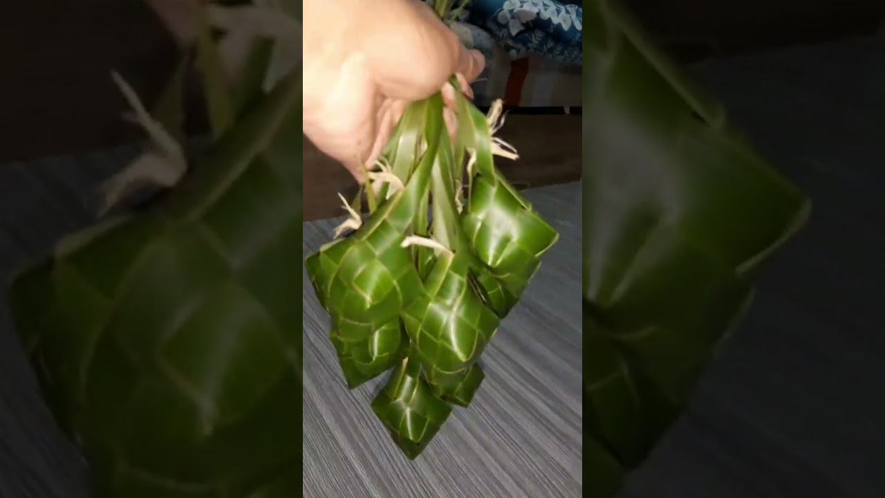 COCONUT LEAVES MAKER VERSUS PANDAN LEAVES MAKER