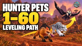 Details Hunter Pet Leveling Path 1-60 | WoW Forever 2026 Guide
