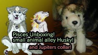 Animal Alley Husky Plush And Jupiters Collar Unpacking