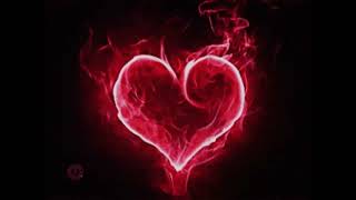 Lost And Found - Zach Studios