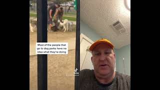 dog behavior #puppy #dog